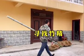 农村的这些宝贝你听说过吗？猪肚子里有猪神砂，牛肚子里有牛黄视频封面