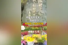 袁隆平院士家人清明祭扫，雨中献上金色稻穗#袁隆平 #我们永远记得你 视频封面