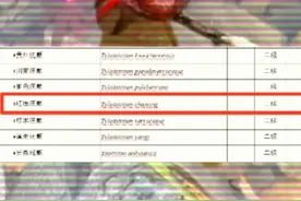 网友:长的越怪判的越快,长的越丑判的越久——国家二级保护动物·红瘰疣螈（hóng luǒ yóu yuán）#璀璨科学星 #抖音自然 #茶茶野保法宣 