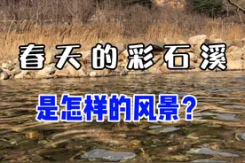 泰安超适合春游打卡的地方 你去过吗？  #抖来云赏樱 #大山深处自然美 #泰安彩石溪  #春天你好
