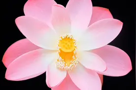 洗衣机不脱水，显示E2故障，主板有问题，换主板，解决方法