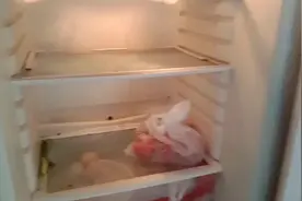 冰箱冷藏室经常有水流出来，亲手教你如何解决