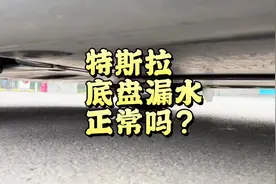 #特斯拉 #model3 #modely 底盘漏水？正常吗？#特斯拉车主百科视频封面