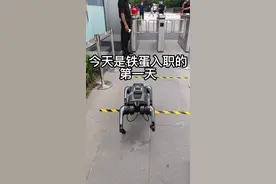 #铁蛋 #小米 #黑科技 铁蛋入职啦，猜猜他是什么工作呀