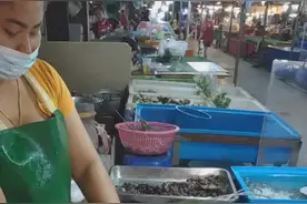 特色小吃 %街边小吃 鱿鱼 你怎么变白了  #科学的奥秘视频封面