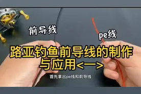 路亚钓鱼前导线的制作和应用