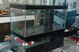 看看80长一体底滤鱼缸，成品的样子#鱼缸视频封面