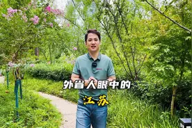 你懂江苏吗？外地人眼中的江苏和现实中的江苏不太一样！#江苏视频封面