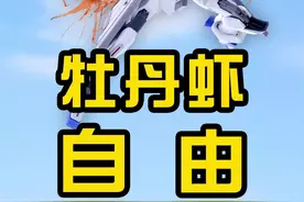 如果一口气吃两斤牡丹虾会怎么样？会幸福！#牡丹虾 #刺身美食 