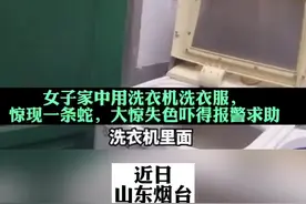 洗衣机洗出一条蛇#蛇视频封面