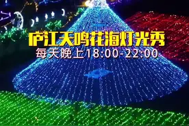 庐江天鸣花海浪漫灯光秀惊艳亮相！现场太美太梦幻～#灯光秀 #灯光秀打卡 #寻觅漫画里的夏天视频封面