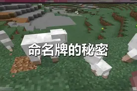 #我的世界 羊咩咩变身，兔子获得专属皮肤，这些你都知道吗 @抖音短视频