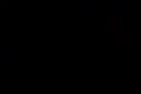 新的一年跟昨天：Say Hello（中文翻译：跟昨天说您好