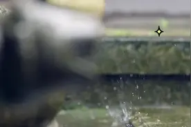 黄财神怎么供奉？#国学经典视频封面