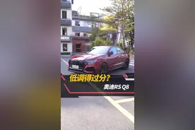 有钱人的生活，就是这么低调？#我的花样车生活