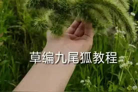 夏天马上到了，狗尾巴草你准备好了吗？给孩子编只九尾狐玩玩吧！#亲子手工#狗尾巴草 #草编教程#非遗记忆