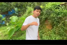 观音绿荔枝😄。原来几十块一斤的荔枝那么👌吃视频封面