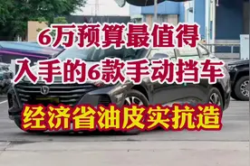 打工族首选车！ 6万预算最值得入手的6款手动挡车！经济省油！视频封面