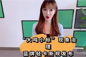 “大吨小标”现象治理，蓝牌轻卡新规发布，轻卡行业该何去何从？