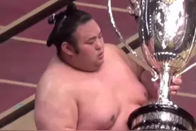 大関贵景胜Vs大関正代，横纲休场钱划分到大関场，奖杯为贵小胖11月场所优胜 #相扑 #贵景胜 #正代直也