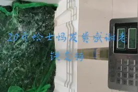#人工养殖林蛙，非国家保护动物，微信下单全国邮寄