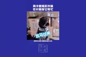 警犬打击诈骗已投入实战！但大家知道背后的原理吗？视频封面