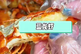 蓝龙虾，小版的澳龙，比小龙虾干净大只