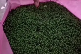 木姜子腌制流程