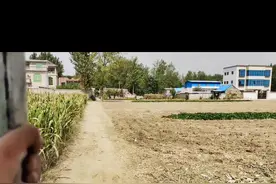 无论你在外面混的多牛逼，不管你是李总，王总，潘总，曲总 还是杂种，该回来收玉米了，都别犯迷，赶紧回来干活。@程大婷（小号） 视频封面