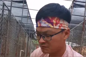 挑战全网，独手竖撕整幅扑克牌。视频封面