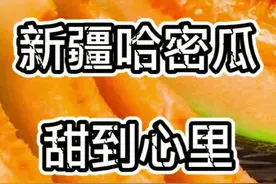 正宗的新疆的哈密瓜甜到心里，瓜类的天花板！#哈密瓜 #新疆哈密瓜 #吐鲁番哈密瓜熟了 视频封面