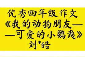 优秀四年级作文《我的动物朋友——可爱的小鹦鹉》刘*皓#作文视频封面