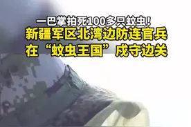 一巴掌拍死100多只蚊虫！新疆军区北湾边防连官兵在“蚊虫王国”戍守边关！#新疆边关战士