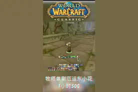 牧师单刷厄运东小花，一小时50G不翻车，还不快存起来 #魔兽世界怀旧服 #牧师 #抖音小助手