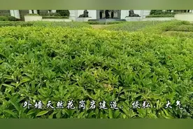 柳州“白宫”成为新晋网红，她的真名叫“錱中联大厦