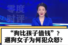 狗不能仗人势 人不能仗钱势！#徽州宴遛狗女子为什么犯众怒 #大v快评视频封面