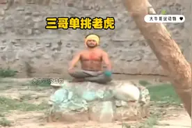 阿三哥喝醉酒，跑动物园找老虎切磋！#精彩片段 #惊险刺激视频封面