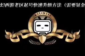 梦幻西游老区起号快速升级的方法(需要小氪)