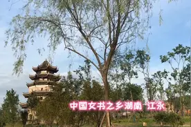城市与乡村，工业废气汽车尾气与氧吧空气，疾病与健康，你怎么选视频封面
