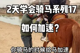 新手学#骑马 教程17 如何加速，脚的作用！#热࿆门 #马场日常 #马术 #热门热门 #马 @抖音短视频视频封面