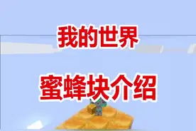 我的世界蜜蜂块你们学会了吗？？