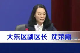 大东区紧密结合特色商业街区建设积极发展首店经济视频封面