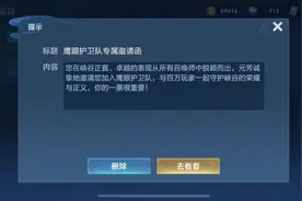 给你们看看鹰眼护卫队怎么加入