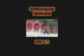 塔沟武校总教练视频封面