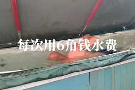 泳池用水长2.9X宽0.7高0.5米=1立方 即1吨水，水费3元
