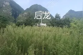 癸山丁向，左水倒右出坤方，丁坤终是万福箱，发富发贵，人丁大旺