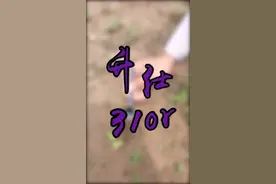 车语-升仕310r，再好的性价比也不能阻止我吃土#机车 #机车骑士视频封面