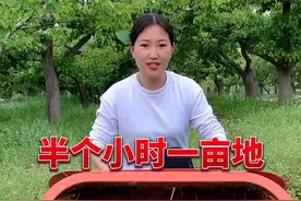 小型的电动除草松土开沟机五个宽度可以选择#电动除草机 视频封面
