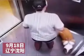 狗狗在电梯里尿尿，接下来女主人举动太赞了。#文明养狗