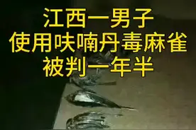 用农药毒麻雀，判刑一年半！#农药 #农资